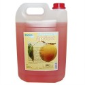 Ewol Professional SD Apricot 5 L
