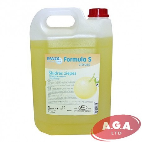 Ewol 5 L Professional Formula S Citruss