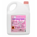 EWOL Professional Formula Sanitar 5 L