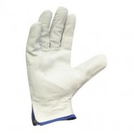 Vēršādas pirkstaiņi